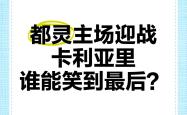 开云体育入口-包含桑普多利亚主场战胜都灵，豪取胜利的词条