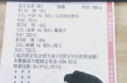 开云官网-芬兰客场击败沙特，夺得关键胜利